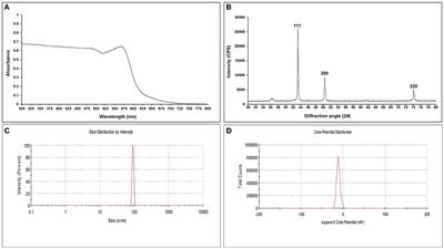 Essential oil-grafted copper nanoparticles as a potential next-generation fungicide for holistic disease management in maize